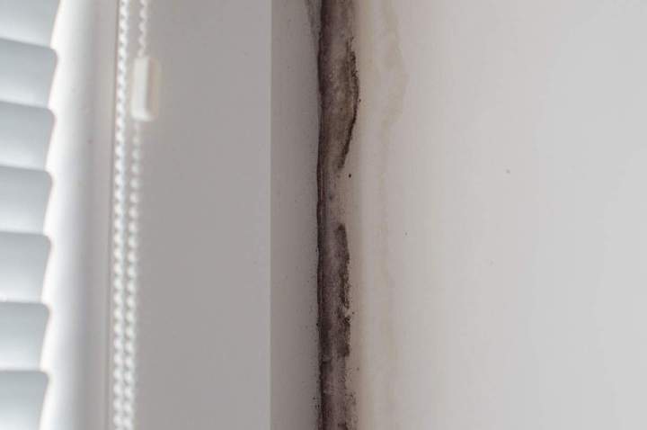 Traitement humidité murs Île-de-France