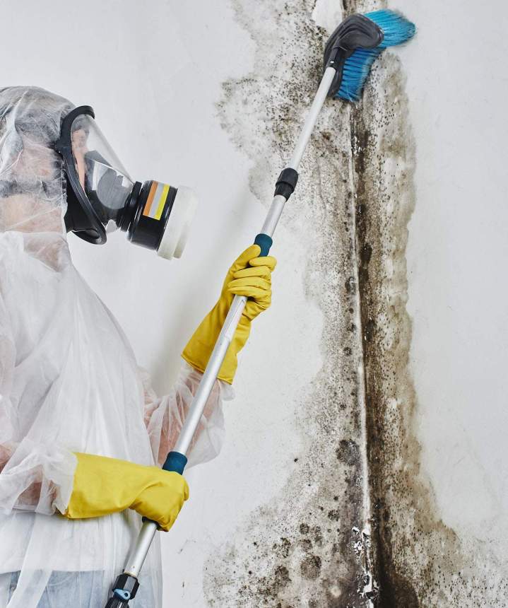  Traitement humidité murs Île-de-France